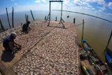 Warga menjemur ikan Gulamah yang telah diasinkan di Tanjung Solok, Kuala Jambi, Tanjungjabung Timur, Jambi, Sabtu (11/7/2020). ANTARA FOTO/Wahdi Septiawan/hp.