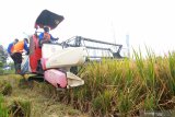 Pekerja memanen padi menggunakan mesin dilahan percontohan (Demplot) Pupuk Kaltim  di Banyuwangi, Jawa Timur, Sabtu (11/7/2020). Pada panen demplot itu, hasil panen padi mencapai 8,8 ton per hektar atau meningkat dibandingkan sebelumnya sekitar 4-6 ton per hektar. Antara Jatim/Budi Candra Setya/zk