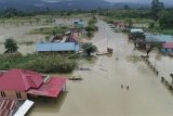 Foto udara banjir melanda Desa Labungga, Kecamatan Andowia, Konawe Utara, Sultra, Minggu (12/7/2020). Banjir akibat luapan Sungai Lalindu dan Sungai Lasolo tersebut mengakibatkan 1.267 rumah di tujuh kecamatan terendam banjir dan menyebabkan 3.741 warga terpaksa harus mengungsi. ANTARA FOTO/Asrun/JJ/aww.