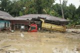 Sebuah truk milik warga terendam lumpur akibat banjir bandang di Desa Radda, Kabupaten Luwu Utara, Sulawesi Selatan, Selasa (14/7/2020). Petugas BPBD Sulawesi Selatan masih menginventarisasi kerugian akibat banjir bandang pada Senin, 13 Juli 2020 yang mengakibatkan puluhan rumah terbawa arus, dua orang meninggal dan tujuh orang hilang. ANTARA FOTO/Indra/wpa/foc.