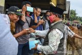 Wakil Gubernur Jawa Barat Uu Ruzhanul Ulum (kanan) memberikan masker ke pedagang hewan di pasar hewan Manonjaya, Kabupaten Tasikmalaya, Jawa Barat, Rabu (15/7/2020). Kunjungan kerja tersebut dalam rangka memeriksa kesiapan para pedagang pasar hewan dalam penerapan protokol kesehatan seiring tatanan normal baru di tengah pandemi COVID-19. ANTARA JABAR/Adeng Bustomi/agr