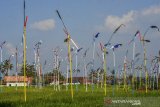 Suasana lahan pertanian dipasang kincir angin atau Kolecer di Desa Cisayong, Kabupaten Tasikmalaya, Jawa Barat, Sabtu (18/7/2020). Pemerintah desa Cisayong menggunakan dana desa dengan membuat 500 kolecer atau kincir angin yang diperuntukkan sebagai pengusir hama burung di lahan pertanian serta memperkenalkan sebagai permainan tradisional sunda. ANTARA JABAR/Adeng Bustomi/agr