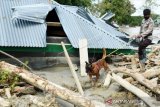 Basarnas: 10 korban hilang akibat banjir bandang Luwu Utara belum ditemukan