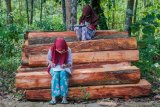 Sejumlah siswa SDN 1 Inten Jaya mengerjakan tugas melalui gawainya di Kampung Lebak Limus, Lebak, Banten, Senin (20/7/2020). Sejumlah siswa yang tinggal di daerah pelosok tersebut kesulitan dalam mengikuti kegiatan belajar mengajar (KBM) secara daring dan tepaksa menempuh perjalanan hingga satu kilometer dari kediamannya menuju ke dataran yang lebih tinggi agar mendapatkan jaringan internet guna mengerjakan tugas sekolah melalui gawai yang nantinya dikirim melalui aplikasi percakapan WhatssApp. ANTARA FOTO/Muhammad Bagus Khoirunas/agr/wsj.