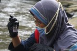 Peneliti dari Ecological Observation and Wetlands Conservation (Ecoton) mengambil sampel air untuk mengetahui kandungan klorin dan mikroplastik di Sungai Brantas, Kiduldalem, Malang, Jawa Timur, Senin (20/7/2020). Kegiatan yang dilakukan di beberapa titik tersebut dilakukan untuk memantau tingkat pencemaran air sungai Brantas dari mikroplastik serta kandungan klorin yang teridentifikasi mengalami peningkatan dari ambang batas normal yakni dari 0,03 part per million (ppm)  menjadi 0,15 ppm  seiring penggunaan disinfektan yang marak selama masa pandemi COVID-19. Antara Jatim/Ari Bowo Sucipto/zk.