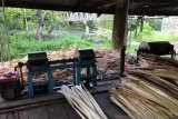 Barantan dorong kawasan pertanian berkearifan lokal orientasi pasar ekspor