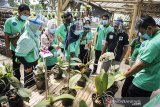 Instruktur memberikan pengarahan proses budidaya tanaman hias kepada peserta saat pelatihan dan pembekalan kewirausahaan Inkubasi Bisnis di BBPPK dan PKK Lembang, Kabupaten Bandung Barat, Jawa Barat, Kamis (23/7/2020). Pelatihan dan pembekalan yang diikuti sebanyak 200 peserta ini merupakan tahapan memberdayakan wirausaha maupun calon wirausaha potensial melalui pendampingan kepada para peserta, sehingga mampu menjadi wirausahawan yang tangguh, inovatif, kreatif, dan berdaya saing tinggi. ANTARA JABAR/M Agung Rajasa/agr