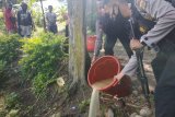 Polisi Wamena amankan empat warga penjual minuman lokal beralkohol