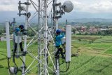 Pemeliharaan BTS XL Axiata