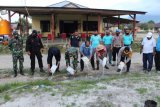 Polres Yalimo musnahkan puluhan liter 'cap tikus' minuman berakohol