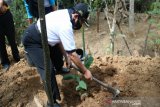 Pemkab Kulon Progo mengkampanye gerakan menanam pangan di pekarangan