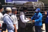 Demokrat Papua salurkan hewan kurban tiga masjid Kota Jayapura
