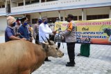 Kapolresta Jayapura sumbang hewan kurban sapi ke ponpes dan panti asuhan