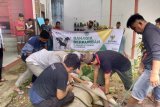 Baznas bersinergi dengan BSG-BI-Muzakki menyalurkan hewan kurban