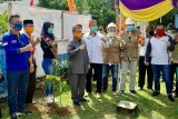 PLN Suluttenggo mendukung penghijauan kawasan taman nasional