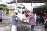 Bupati Minahasa serahkan hewan kurban di 33 masjid