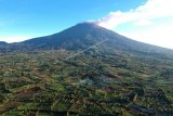 Panorama tutupan hutan Gunung Kerinci (3805 mdpl) yang sebagian kawasannya telah beralih fungsi menjadi perkebunan terlihat dari Kayu Aro, Kerinci, Jambi, Sabtu (1/8/2020). Kementerian Lingkungan Hidup dan Kehutanan (KLHK) RI mengatakan Indonesia terus mengupayakan percepatan pemulihan hutan dan lahan di tanah air agar deforestasi tidak melebihi laju rehabilitasi pada 2030. ANTARA FOTO/Wahdi Septiawan/hp.