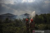 Petugas pemadam kebakaran berusaha memadamkan api yang membakar lahan kering di Rancasari, Bandung, Jawa Barat, Senin (3/8/2020). Petugas menyatakan, kebakaran lahan kering yang berdekatan dengan permukiman warga tersebut diduga akibat cuaca panas dari musim kemarau yang sedang melanda Kota Bandung. ANTARA JABAR/Raisan Al Farisi/agr