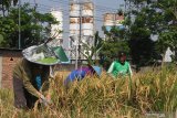 Petani memanen padi di depan industri pengolahan beton di Paron, Ngawi, Jawa Timur, Senin (3/8/2020). Dinas pertanian setempat mencatat luas lahan pertanian di kawasan lumbung padi tersebut berkurang dari 50.550 hektare menjadi 50.197 hektare karena beralih fungsi menjadi perumahan, industri dan infrastruktur sehingga berdampak pada menurunnya produksi gabah sehingga dikhawatirkan mengganggu tingkat ketahanan pangan. Antara Jatim/Ari Bowo Sucipto/zk