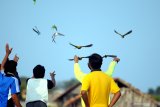 Pecinta burung paruh bengkok melatih terbang burungnya di areal tambak garam Desa Bunder, Pamekasan, Jawa Timur, Rabu (5/8/2020). Berbagai jenis burung berparuh bengkok tersebut dilatih terbang selama mungkin tanpa hinggap ketempat lain dan kembali kepada pemiliknya. Antara Jatim/Saiful Bahri/zk