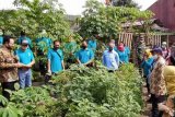 Polbangtan bersinergi dengan petani urban dan Kostratani