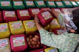 Sosialisasi makanan bergizi