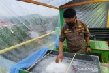 Disdik Papua apresiasi siswa SMKN 3 Jayapura produksi garam kristal