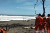 Kapolres Bantul : Sarana keamanan wisata Pantai Gua Cemara minim