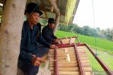 Masyarakat Osing memainkan angklung paglak pada peringatan Hari Internasional Masyarakat Adat Sedunia (HIMAS) di Sawah Art Space Desa Adat Kemiren, Banyuwangi, Jawa Timur, Minggu (9/8/2020). Peringatan HIMAS pada masa Pandemi COVID-19 ini, digelar masyarakat suku Osing di area persawahan dengan mengangkat tema 