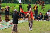 Gandrung Temu menari bersama pada peringatan Hari Internasional Masyarakat Adat Sedunia (HIMAS) di Sawah Art Space Desa Adat Kemiren, Banyuwangi, Jawa Timur, Minggu (9/8/2020). Peringatan HIMAS pada masa Pandemi COVID-19 ini, digelar masyarakat suku Osing di area persawahan dengan mengangkat tema 