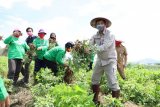 Wagub ajak masyarakat manfaatkan lahan tidur jadi produktif