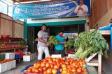 Perdagangan elektronik Sasuka dorong pemberdayaan petani di Papua