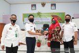 Bupati Bantaeng serahkan bibit pohon bantuan KLHK kepada PKK Pa'jukukang