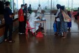Gugus Tugas COVID-19 Pemkab Jayapura siap lakukan swab terhadap guru