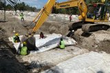 Cegah banjir, Kementerian PUPR bangun tanggul di Kabupaten Luwu Utara