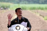 Menteri pertanian Syahrul Yasin limpo berpidato usai penanaman bibit jagung hibrida secara simbolis diladang milik Perhutani di Blitar, Jawa Timur, Kamis (13/8/2020). Kementan menyatakan rata-rata produktivitas jagung lokal hanya sekitar 6,4 ton per hektar, dan menargetkan produksi jagung naik menjadi 8 sampai 9 ton per hektar di tahun ini. Antara Jatim/Irfan Anshori/zk.