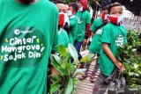 Penanaman Mangrove Sejak Dini