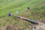 PT PLN terus melistriki kampung di Papua selama pandemi COVID-19