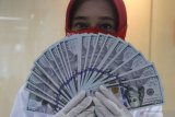 Karyawan bank menunjukkan mata uang dollar Amerika Serikat (AS) yang disetor nasabah di bank BNI Kantor Cabang Pembantu (KCP) Universitas Brawijaya, Malang, Jawa Timur, Jumat (14/8/2020). Berdasarkan Kurs Refrensi Jakarta Interbank Spot Dollar Rate (Jisdor) Bank Indonesia (BI) nilai tukar rupiah terhadap dollar menguat dan berada di angka 14.917 dibandingkan dengan penutupan perdagangan sebelumnya yang berada di angka 14.877 per dollar AS. Antara Jatim/Ari Bowo Sucipto/zk