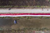 Foto udara pemasangan kain Merah Putih oleh komunitas Pasukan Susur Sungai dan Ekosistem Rancaekek (Passer) di bantaran sungai Cikijing, Rancaekek, Kabupaten Bandung, Jawa Barat, Minggu (16/8/2020). Pemasangan kain Merah Putih berukuran 75X3 meter di bantaran sungai tersebut untuk menyambut perayaan HUT ke-75 kemerdekaan Republik Indonesia. ANTARA JABAR/M Agung Rajasa/agr