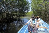 Pengunjung berswafoto di kawasan wisata hutan mangrove Mina Mangrove Persada di Pabean udik, Indramayu, Jawa Barat, Minggu (16/8/2020). Pengembangan hutan mangrove selain mencegah abrasi wilayah pantai juga dapat dijadikan kawasan wisata hutan lindung dan ekowisata serta menjadi basis perekonomian. ANTARA JABAR/Dedhez Anggara/agr