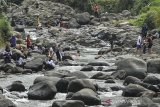Wisatawan berenang di Sungai Cileueur Kawasan Wisata Cadas Ngampar, Desa Gunungsari, Kecamatan Sadananya, Kabupaten Ciamis, Jawa Barat, Sabtu (22/8/2020). Destinasi wisata alam Cadas Ngampar yang dikelola oleh Badan Usaha Milik Desa (BUMDes) Gunungsari tersebut menyajikan wisata air sungai yang jernih dari kaki gunung sawal dengan hamparan bebatuan besar. ANTARA JABAR/Adeng Bustomi/agr