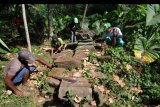 Sejumlah warga mencabuti rumput yang tumbuh diantara batu candi saat aksi membersihkan candi di Candi Tibayan, Jatinom, Klaten, Jawa Tengah, Minggu (23/8/2020). Aksi membersihkan candi era Mataram Kuno abad 9-10 yang dilakukan oleh Klaten Heritage Community (KHC) bersama warga setempat tersebut bertujuan untuk menjaga dan merawat benda cagar budaya yang memiliki nilai sejarah. ANTARA FOTO/Aloysius Jarot Nugroho/nym