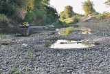 Kondisi Sungai Madiun dengan sebagian dasar sungai yang mengering di Kota Madiun, Jawa Timur, Senin (24/8/2020). Kondisi Sungai Madiun yang merupakan anak sungai Bengawan Solo mulai mengering saat memasuki musim kemarau akibat menurunya debit air dari daerah hulu. Antara Jatim/Siswowidododo/zk.