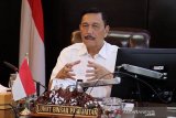 Luhut Panjaitan : Pandemi jadi cambuk kembangkan industri dalam negeri