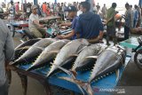Pekerja mengangkut ikan tuna sirip kuning dengan becak barang di terminal Pelabuhan Perikanan Samudera Kutaraja, Desa Lampulo, Banda Aceh, Aceh, Rabu (26/8/2020). Pedagang penampung di daerah itu menyatakan ikan tuna yang ekspornya terhenti untuk sementara sejak pandemi COVID-19, saat ini mengandalkan pasar dalam negeri, seperti Medan dan Jakarta dengan harga di tingkat lokal Rp23.000 per Kilogram atau turun dari sebelumnya mencapai Rp40.000 per Kilogram. Antara Aceh/Ampelsa.