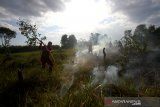 Petugas Dinas Kehutanan Provinsi Kalsel berusaha memadamkan kebakaran lahan gambut di Kawasan Liang Anggang, Banjarbaru, Kalimantan Selatan, Kamis (27/8/2020). Petugas gabungan yang terdiri dari Dinas Kehutanan, Manggala Agni, serta dua helikopter milik Badan Nasional Penanggulangan Bencana (BNPB) dikerahkan untuk memadamkan kebakaran lahan gambut tersebut. Foto Antaranews Kalsel/Bayu Pratama S.