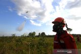 Petugas Dinas Kehutanan Provinsi Kalsel bersiaga saat terjadi kebakaran lahan gambut di Kawasan Liang Anggang, Banjarbaru, Kalimantan Selatan, Kamis (27/8/2020). Petugas gabungan yang terdiri dari Dinas Kehutanan, Manggala Agni, serta dua helikopter milik Badan Nasional Penanggulangan Bencana (BNPB) dikerahkan untuk memadamkan kebakaran lahan gambut tersebut. Foto Antaranews Kalsel/Bayu Pratama S.