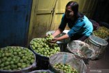 Pedagang memisahkan apel malang berdasarkan ukurannya untuk dijual lagi di pasar buah di Batu, Jawa Timur, Kamis (27/8/2020). Pedagang buah setempat mengaku penjualan apel malang mulai mengalami peningkatan meski  hanya sebesar 5 persen seiring dibukanya kembali sejumlah wahana wisata di kawasan tersebut setelah tutup selama tiga bulan akibat COVID-19. Antara Jatim/Ari Bowo Sucipto/zk