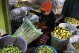 Pedagang memisahkan apel malang berdasarkan ukurannya untuk dijual lagi di pasar buah di Batu, Jawa Timur, Kamis (27/8/2020). Pedagang buah setempat mengaku penjualan apel malang mulai mengalami peningkatan meski  hanya sebesar 5 persen seiring dibukanya kembali sejumlah wahana wisata di kawasan tersebut setelah tutup selama tiga bulan akibat COVID-19. Antara Jatim/Ari Bowo Sucipto/zk